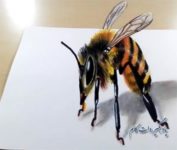 نقاشی سه بعدی زنبور عسل