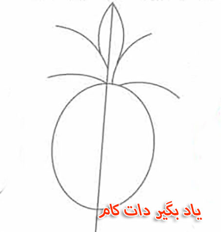 آموزش نقاشی آناناس