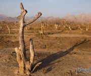 علل خشکسالی ایران