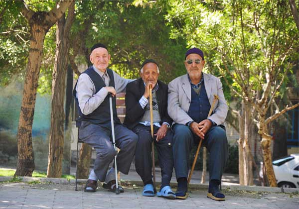مردان سالمند ایران