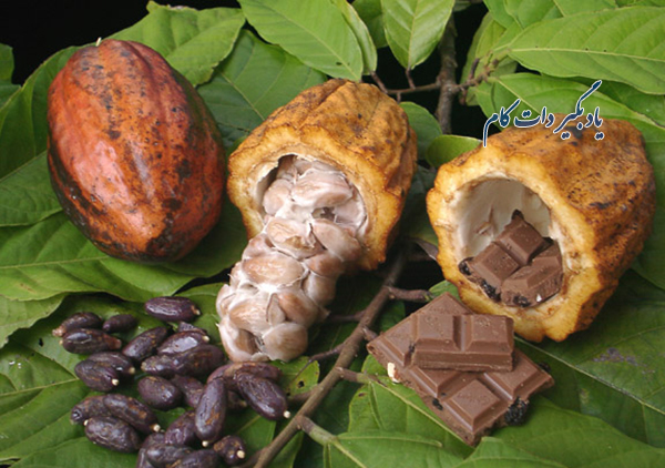 منابع شکلات سازی دنیا