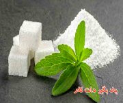 استویا یا شیرین برگ جایگزین شکر، خواص و نحوه کاشت آن