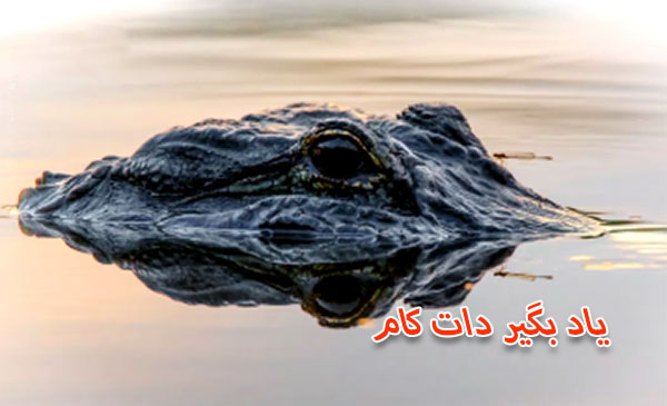 عکاسی حیات وحش f/8.0 برای اینکه تمام سر تمساح در کادر بوده 