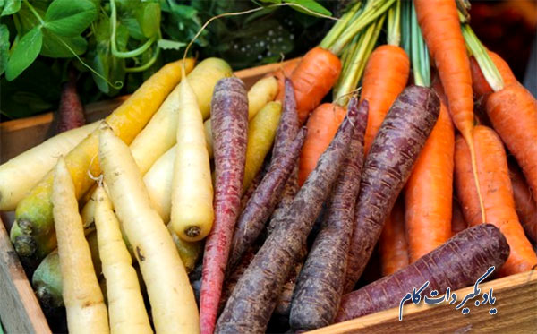 هویج را در چه فصلی باید کاشت؟