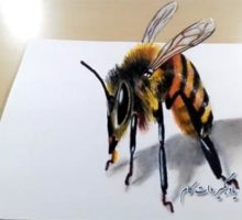 نقاشی سه بعدی زنبور عسل