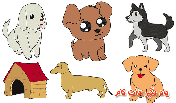 آموزش نقاشی 5 نوع سگ کیوت برای کودکان